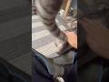 おしりポンポンでシッポビンビンの保護猫 #保護猫 #ねこのいる生活
