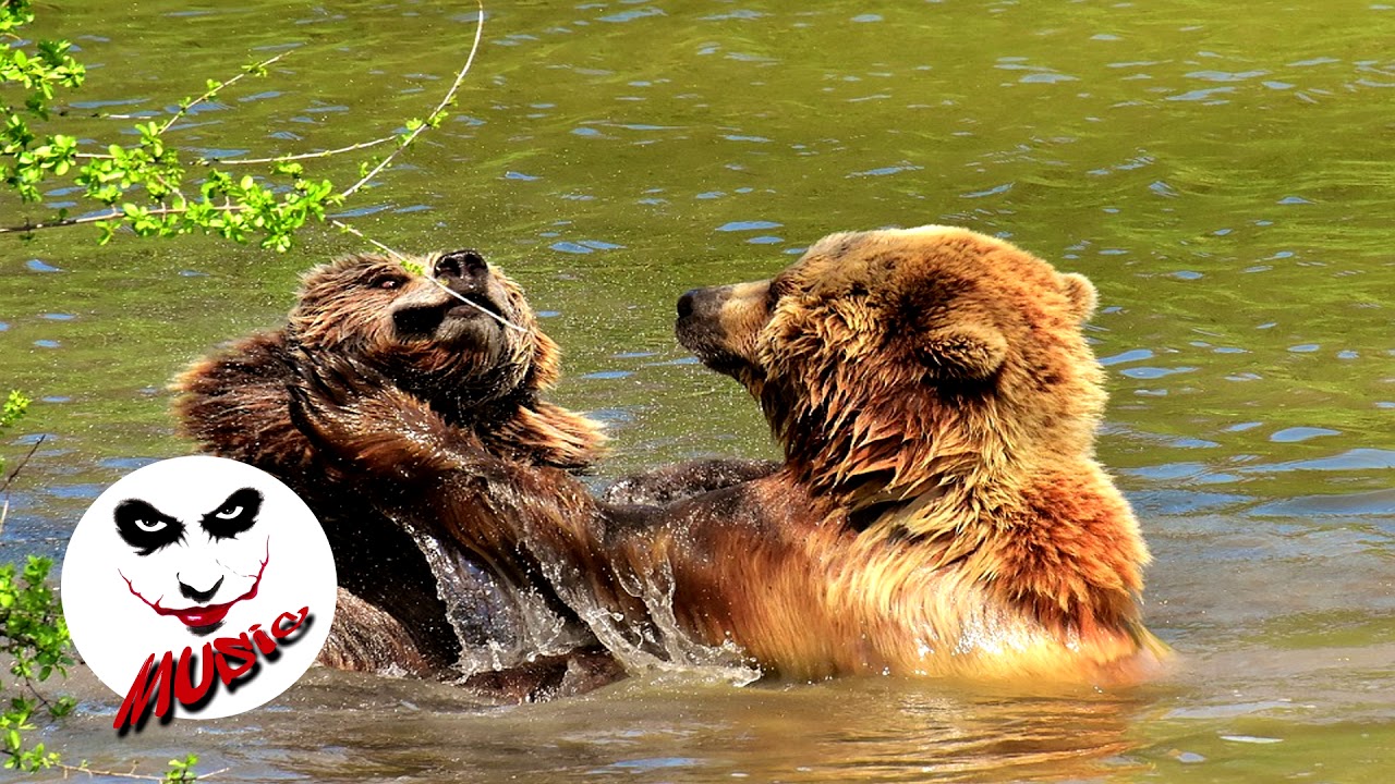 Trap: Unknown Brain - MATAFAKA (feat  Marvin Divine) / музыка без авторских прав