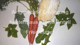 Richtig Gemacht Ernährung