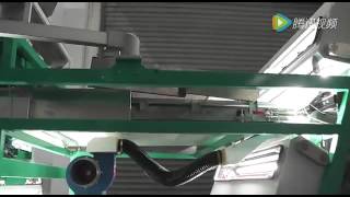 Dried red pepper color sorter / Dried red chilli sorting machine- (www.ColorSorterGroup.com)