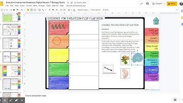Evolution Interactive Notebook Digital Version © Biology Roots - Google Slides