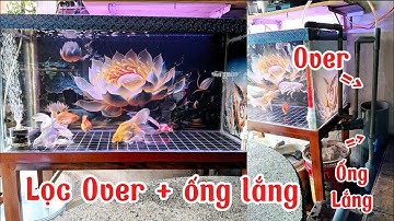 Chia Sẻ Cách Làm Lọc Over Kết Hợp Ống Lắng 200 Cực Hay Nước Siêu Trong - Hồ Cá Chép Sư Tử 300l Đẹp.