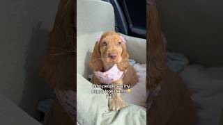 Who Do You Think Penny Looks Like? Im Going With Number 3