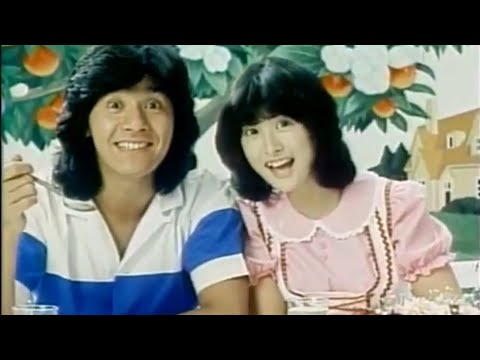 【CM】ハウス バーモントカレー🍛　西城秀樹　河合奈保子