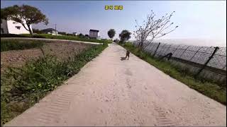 Dogfight of DJI Drone with Dog | S10 | Drone chase Dog | Funny battle of Dog and Drone |
