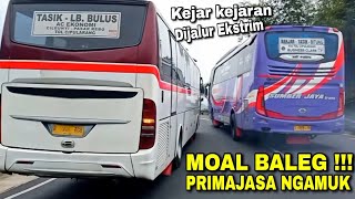 Balapan bus ! dipepet habis bus sumber jaya vs bus primajasa