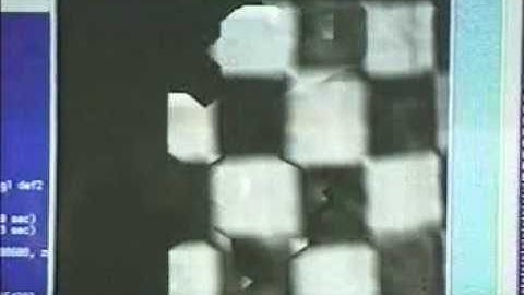 Real-Time Tracking of Free Form Object by Range and Intensity Image Fusion (1996)