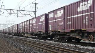 JR貨物 臨8090列車 EF66  113号機[吹]+コキ車20両編成&2071列車 EF66 105号機[吹]+コキ車22両編成