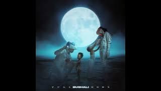 Bushali - Saye [official audio]