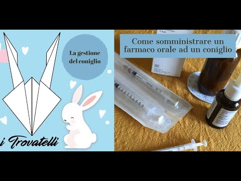 Video: Cura Del Coniglio: Kit Di Pronto Soccorso Per Il Tuo Coniglio