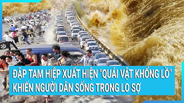 Đập Tam Hiệp xuất hiện "quái vật khổng lồ" khiến người dân sống trong lo sợ  | Tin mới