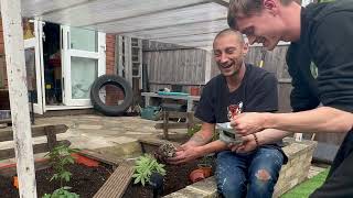 🌱 EPIC 💥Cannabis Grow Project! Outdoor Garden & NEW Strains! 🌿AI