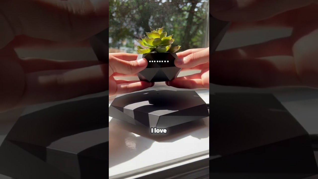 Discover the Magic of Floating Plants! ✨🪴