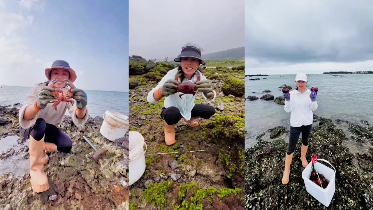 Catch bread crabs or red rock crabs 🦀 Crab bread 