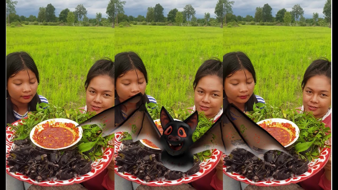 Amazing food Eating bats with chili salt, looking so delicious