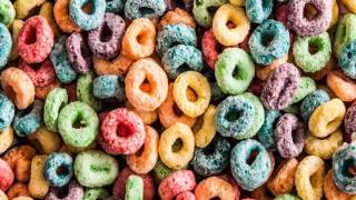 Fruit loops toucan