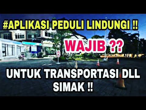 Video: Kayu Delta: Apa Itu? Fitur Lignofol Penerbangan, Bahan Penerbangan, Dan Aplikasi Lainnya