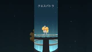 【Pokémon GO】 Flittle → Espathra Evolve 🔥