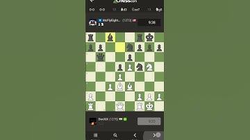 Check mate #chess #chessknowledge #chessgames #chessproblems #chessbrains #chesscom #chessminds