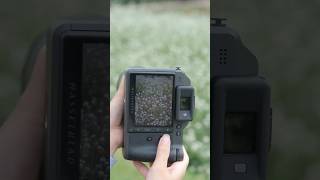 100MP of Pure Nature Detail ｜ X2D II 100C