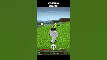 Minecraft Bedrock Edition Vs Java Edition🤯|| Wait For End ☠️|| #shorts #viral #minecraft