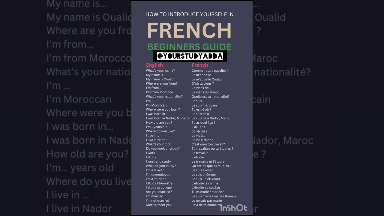 Presentez vous Delf A1 Delf A2 B1 B2 Introduction | How to introduce yourself in French 