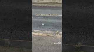 We Crushed A Red Bull Can At The Bus Stop.