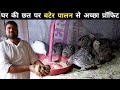 घर की छत पर कर रहे हैं बटेर पालन | Quail Farming In India | Bater Egg | Quail Farming At Home