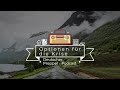 Optionen für die Krise