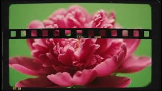 Emotional VHS Effect Green Screen for Nostalgic Cinematic Storytelling