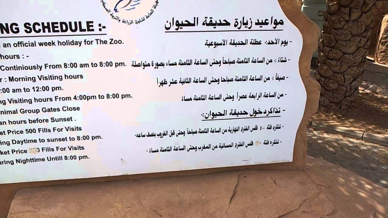 Opening times at Kuwait Zoo.21.09.2013 YouTube