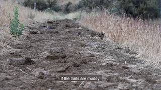 Ridge to Rivers Winter Trail Etiquette