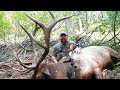 Fired Up - Hunting a Monster OTC Idaho Bull Elk in a Forest Fire