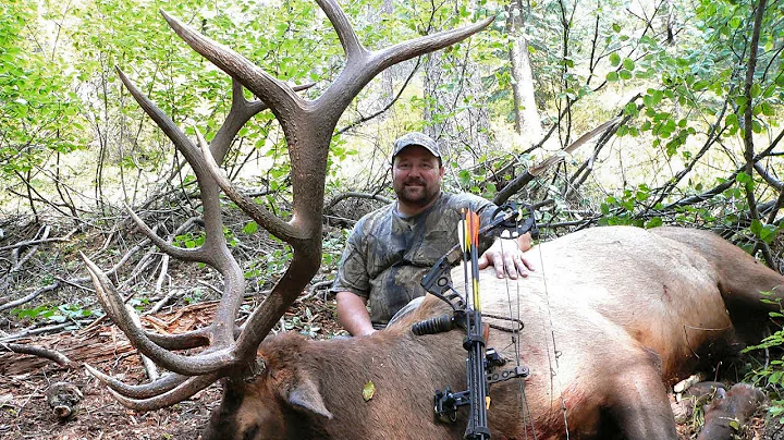 Fired Up - Hunting a Monster OTC Idaho Bull Elk in...