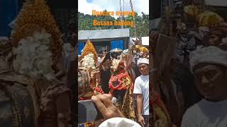 upacara nyenuk, sesapan busana ireng#bali #tradisi #upacara #hindu #shorts #short