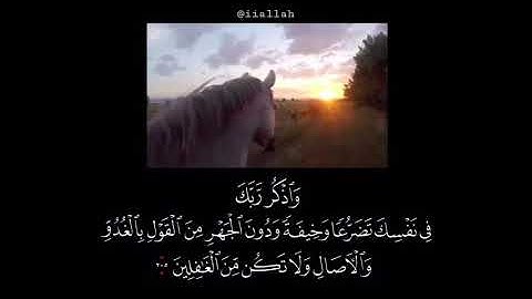 واذكر ربّك في نفسك تضرّعًا | تلاوة أخّاذة للقارئ عبدالرحمن مسعد