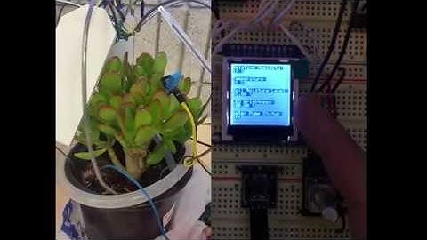 CPE 301 Final Project