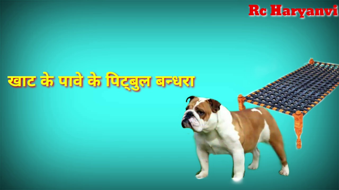 Mohit sharma Gaam ka desi chhora Rc Haryanvi Rakesh Grover new status HR06WALA YouTube