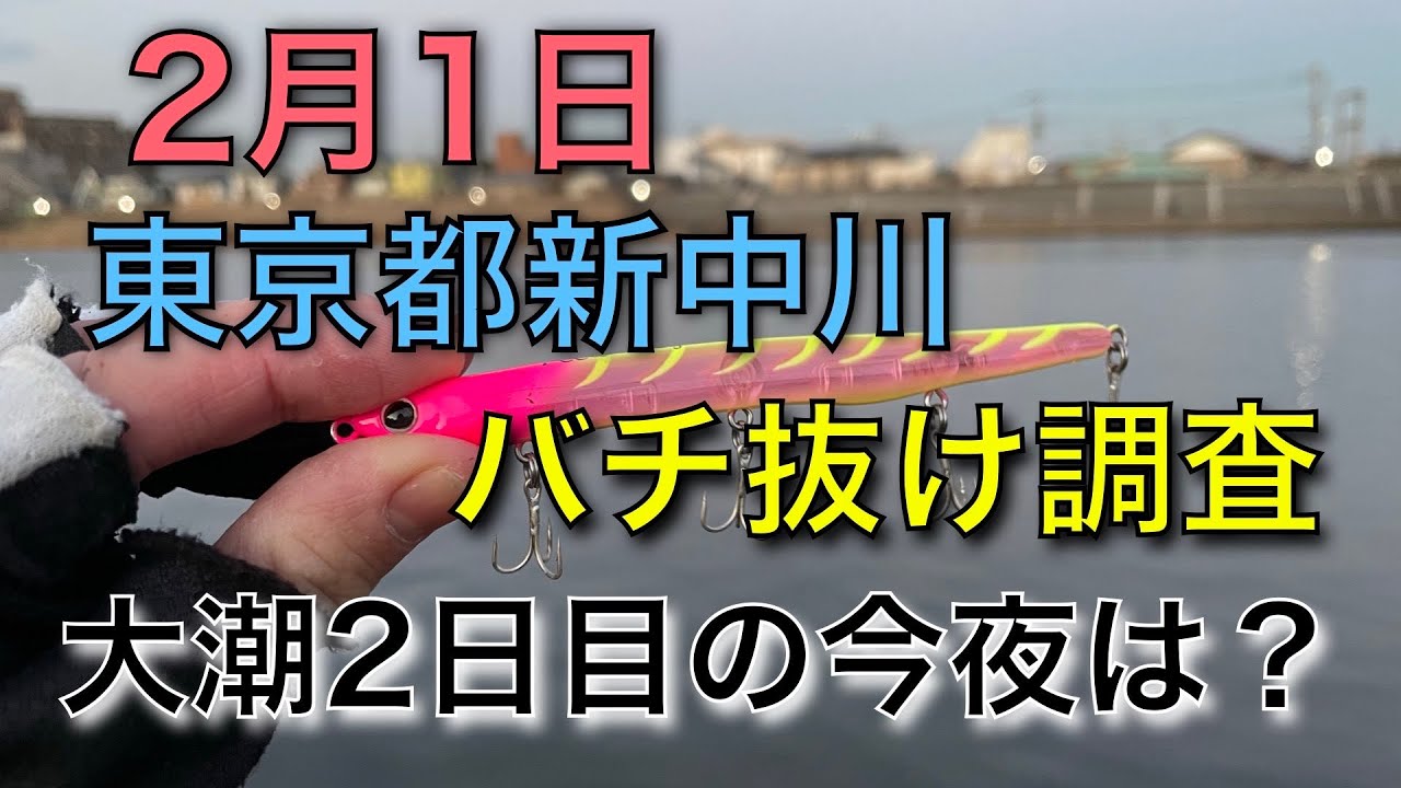 東京都シーバス 新中川バチ抜け調査 大潮２日目なら流石にバチいるでしょ 22年2月1日 Youtube