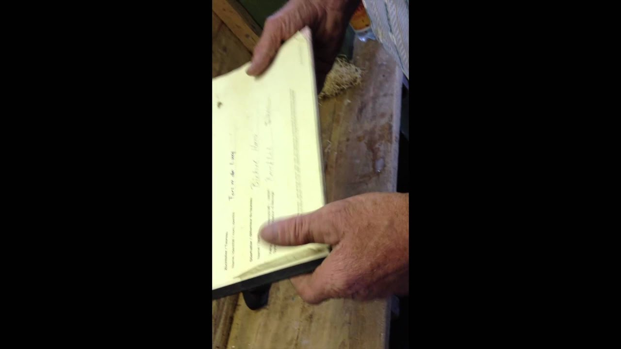 Stallbüchlein Fors vo dr Lueg