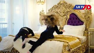 ROYAL PALACE HOTEL.    LUXURY HOTEL & SPA