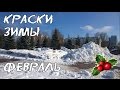 Краски зимы. ФЕВРАЛЬ/Winter paints