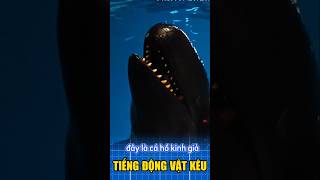 Tiếng kêu của động vật ít người biết (p3)