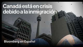 Este país tiene más inmigrantes de los que tal vez puede soportar