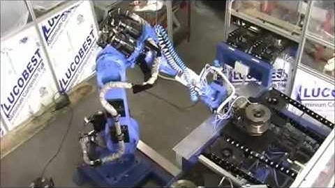 Robotic station for checking brake discs