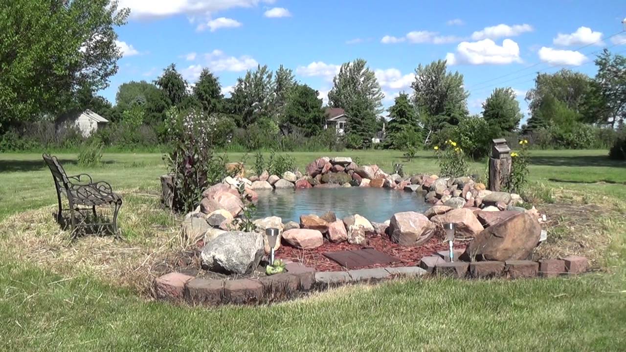 Backyard Pond Update - YouTube