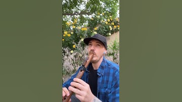 Thumbnail of 🌀 Deeply Connect With Your Crown Chakra #soundhealing #flutemusic #nativeamericanflute #reiki
