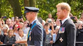 Princes William and Harry walk in queen's coffin procession