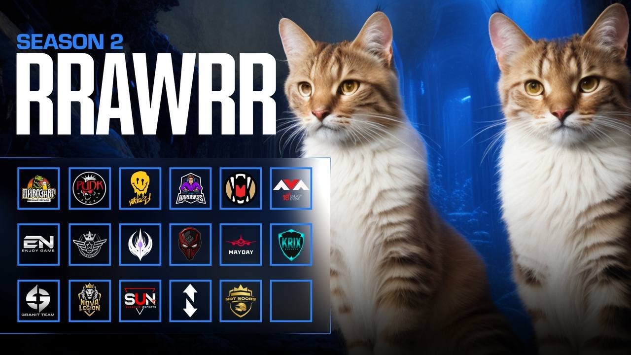RRAWRR TOURNAMENT S2 FINAL - YouTube