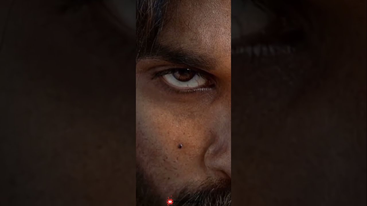 Pushpa Allu Arjun Status Full Screen | Allu Arjun Full Screen Status